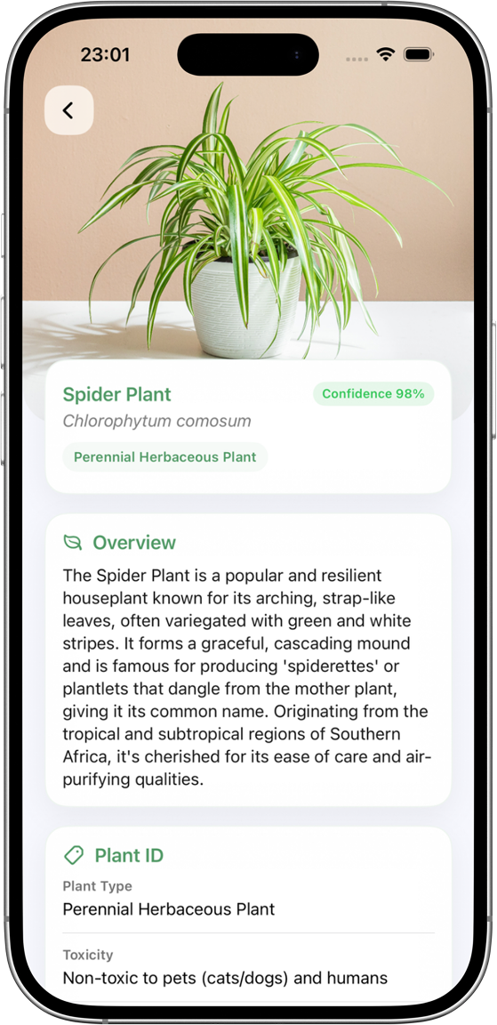 Plant detail profile screen